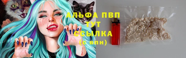 кокс Алексин