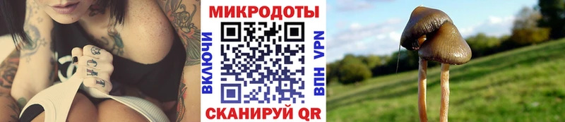 omg рабочий сайт  Санкт-Петербург  Галлюциногенные грибы MAGIC MUSHROOMS  наркошоп 