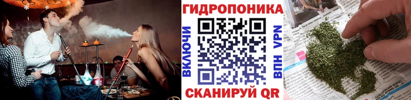 цена   Санкт-Петербург  Бошки Шишки Bruce Banner 